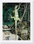 At_the _zoo (15) * 1536 x 2048 * (1.4MB)